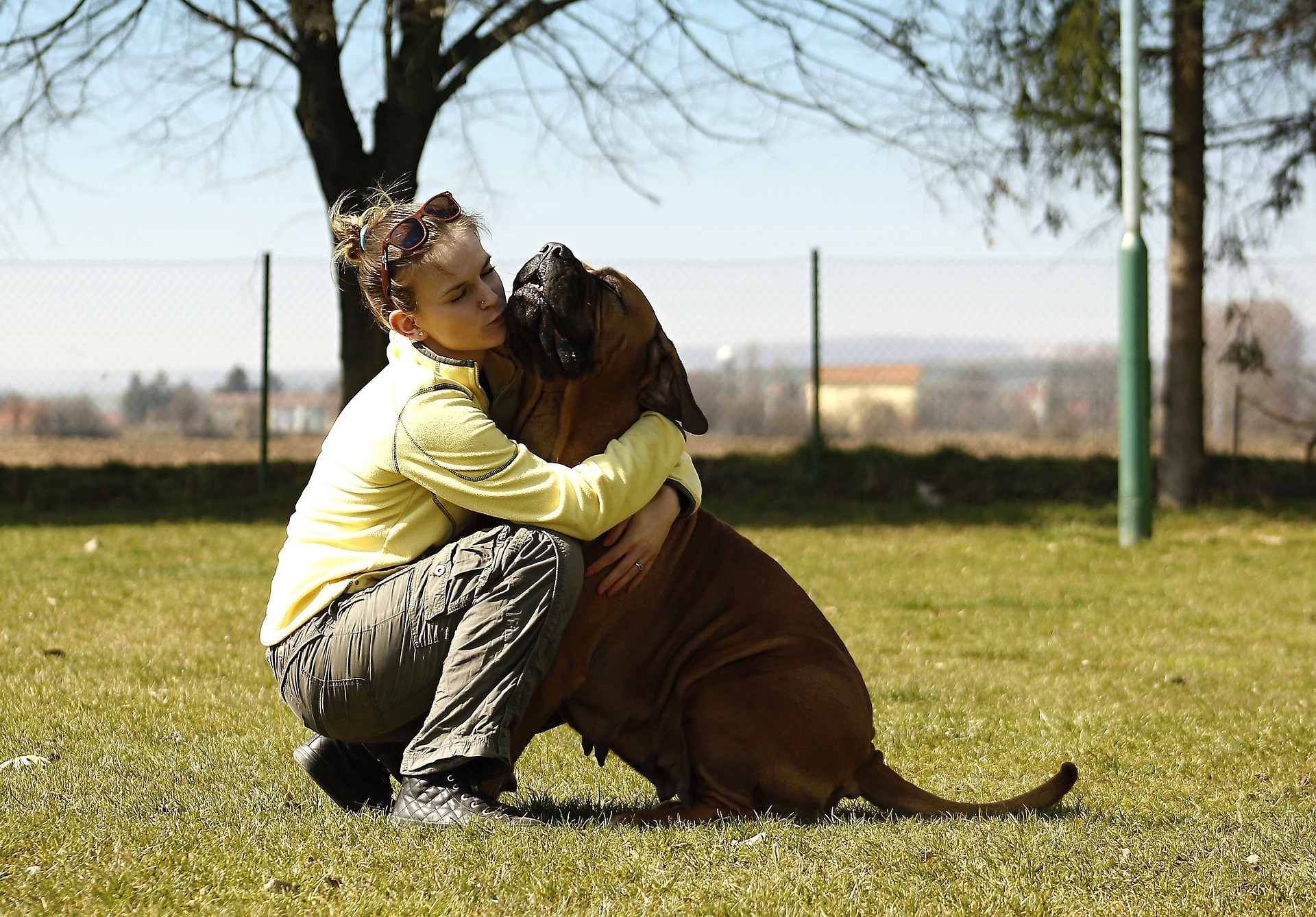 Girl hugging large dog
